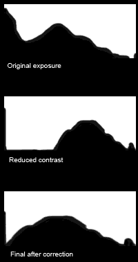 expose-to-the-right.png